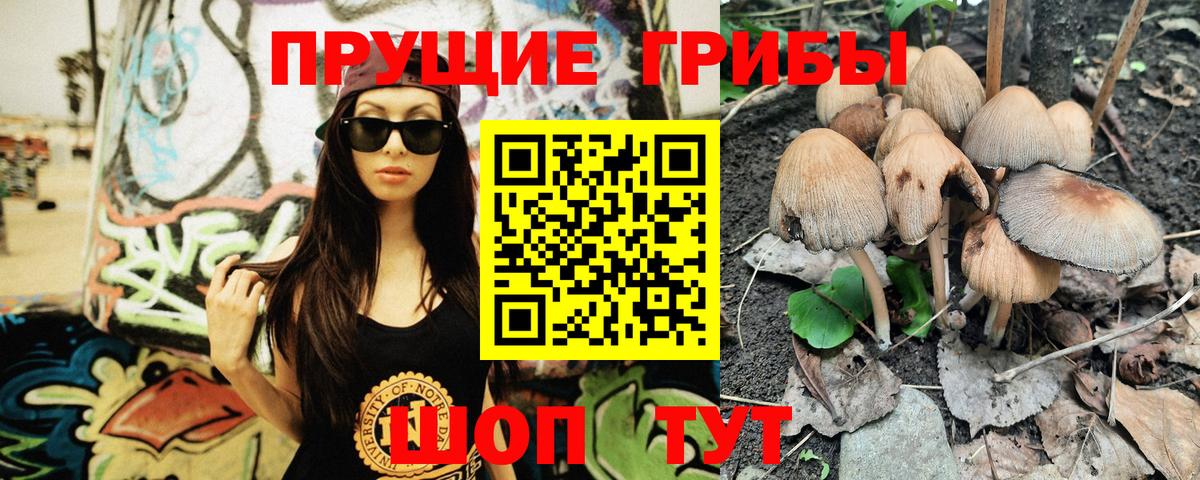 Галлюциногенные грибы GOLDEN TEACHER  Вход с VPN  Сургут 