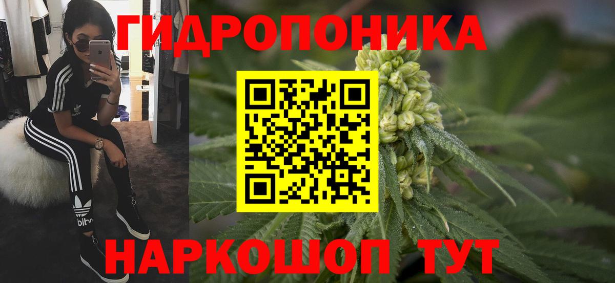 Бошки Шишки VHQ Сургут